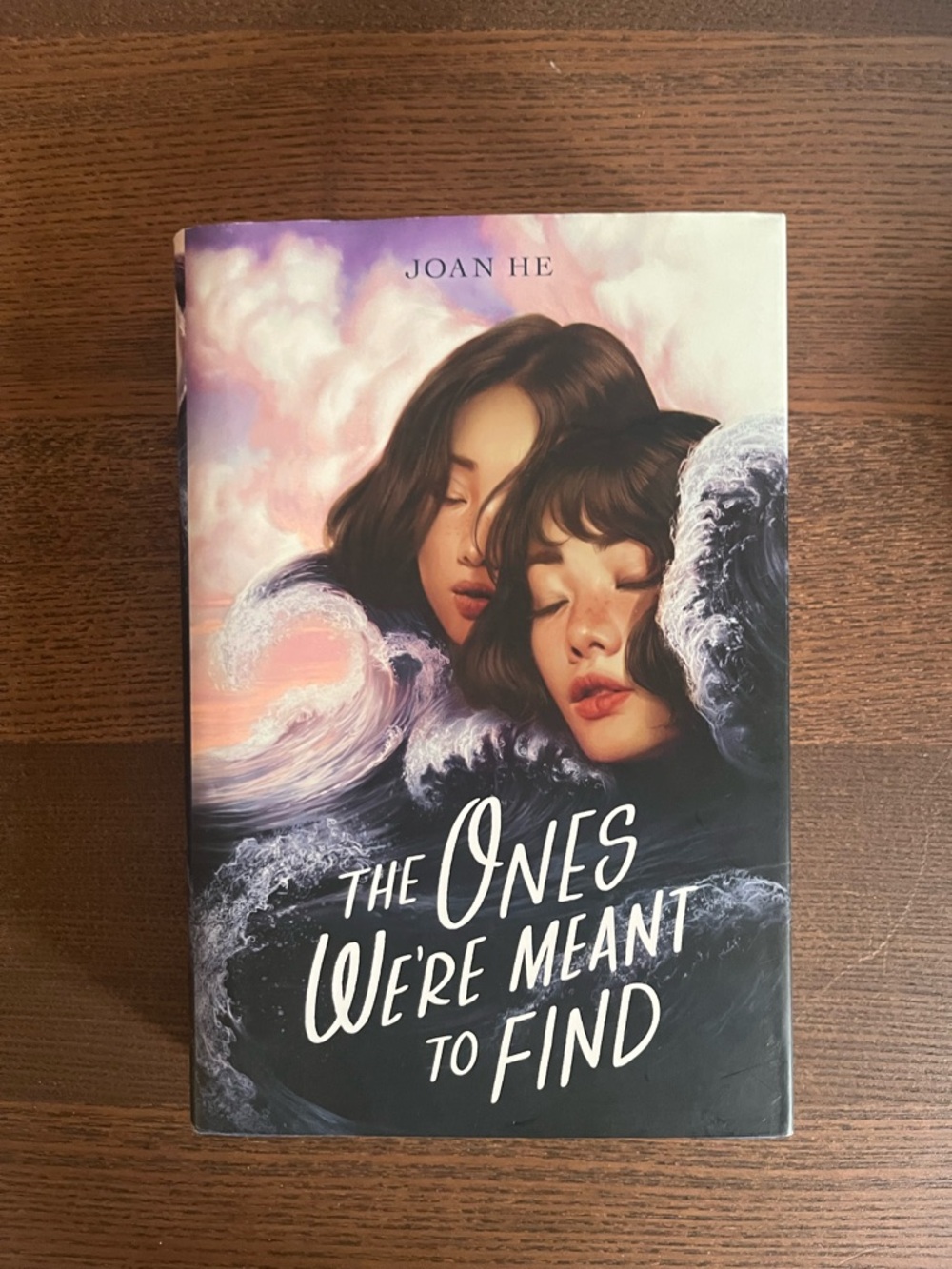 Owlcrate | Book - The Ones We’re Meant to Find by Joan He